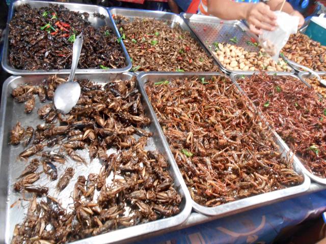 12247855_10100846247555151_6729445633428091918_o