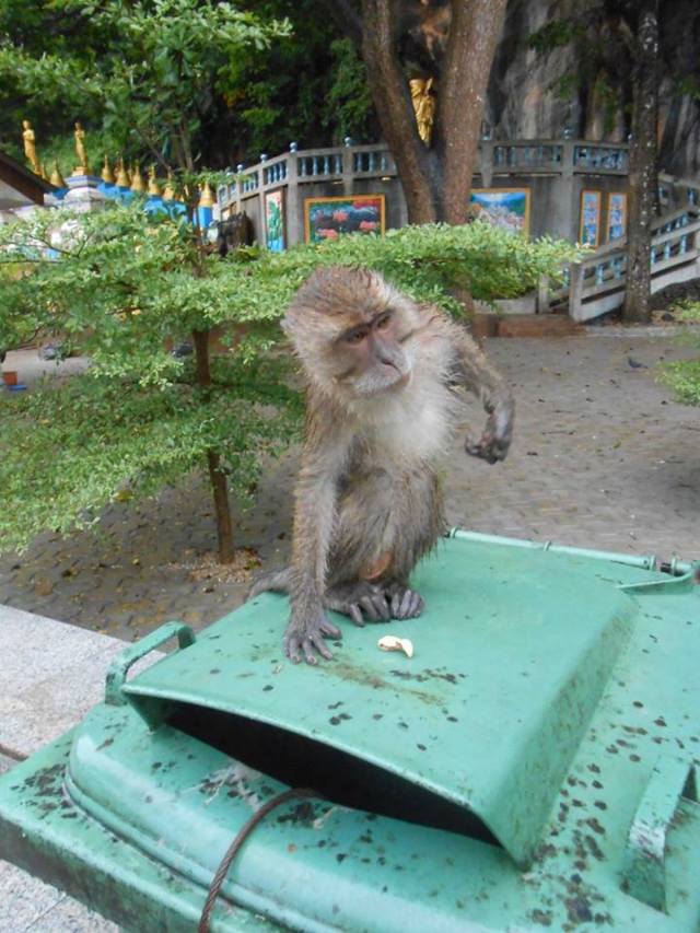 12274470_10100846236023261_8331412072275600368_n