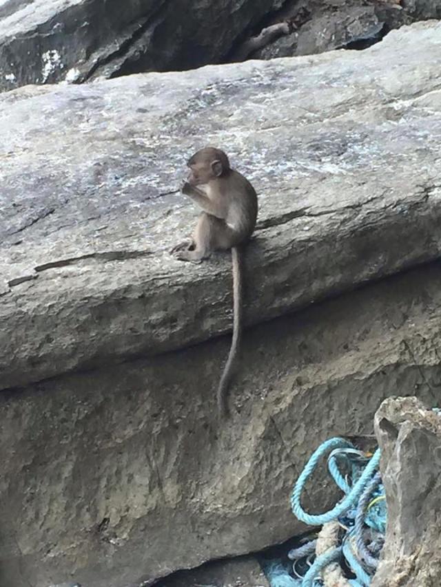 12313853_10100846320503961_3554030289953998869_n