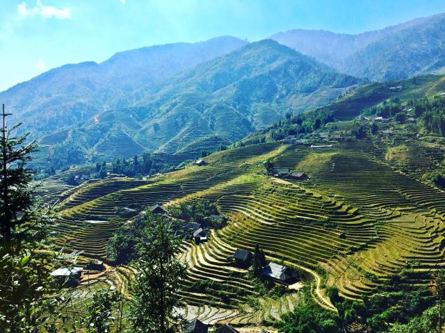 15110837_10101116494178751_6883037037601848755_o