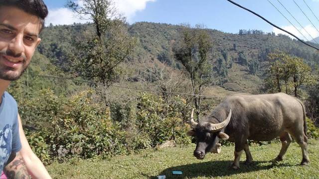 17553451_10101249853665271_7150218479626700414_n