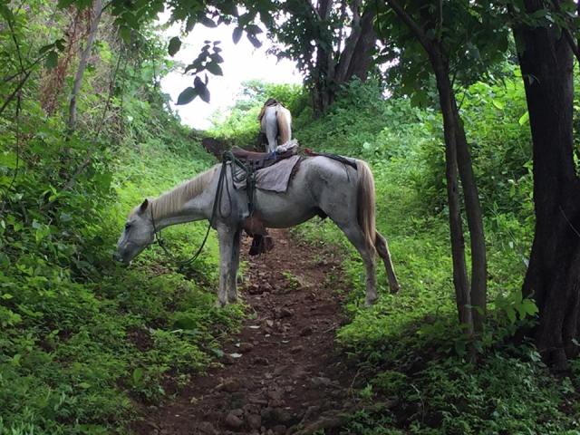 19511054_10101352659336881_1151779395687124406_n