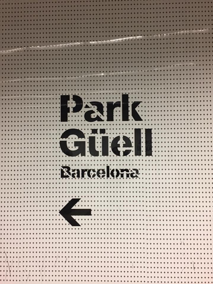 28577200_10101592201552361_4034988077233600945_n