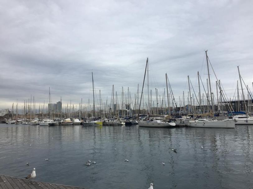 28870149_10101593270330521_4400536696319808012_n