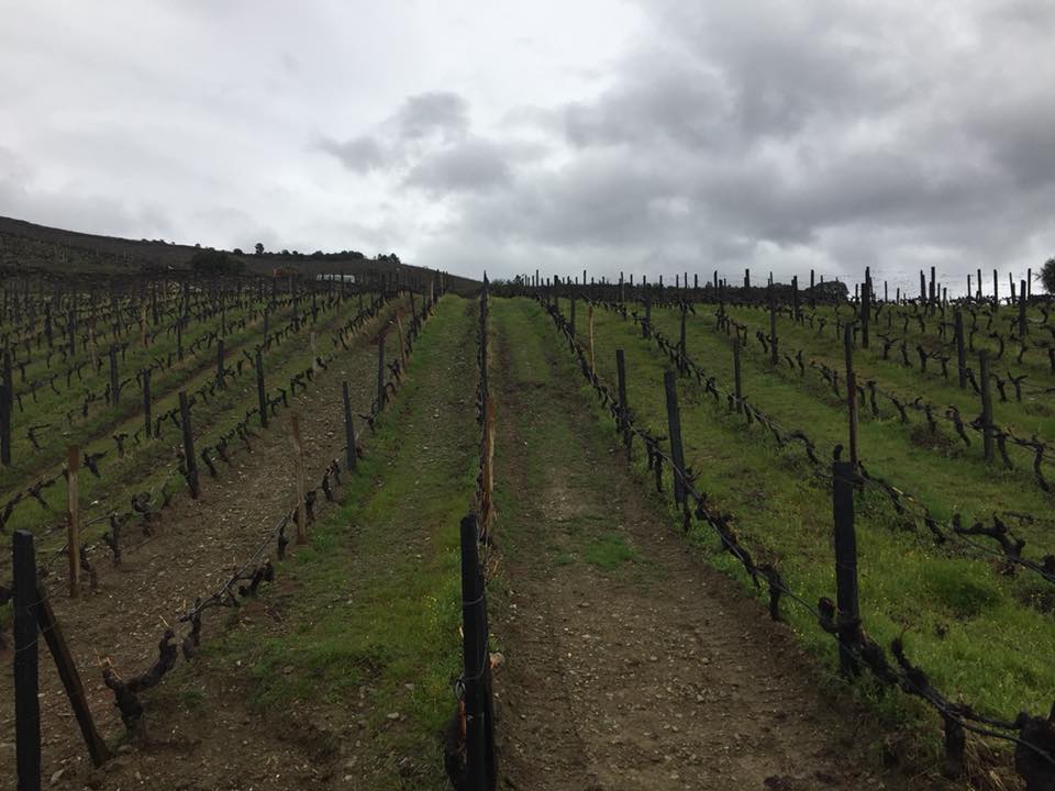 28870918_10101594354647541_5387011942743277568_n