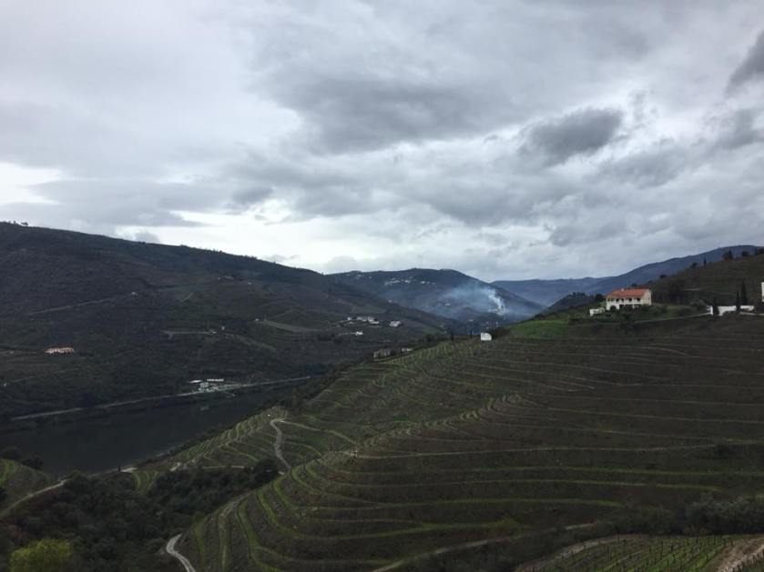 28872177_10101594354587661_4158923966381031424_n