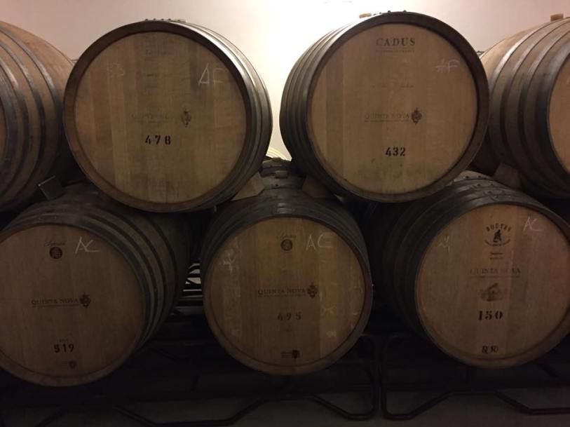 29025692_10101594354832171_3313187460611047424_n