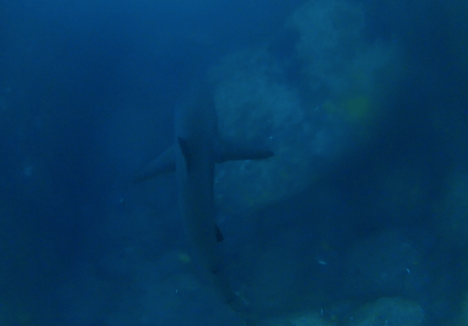 Screenshot 2018-04-10 22.30.42