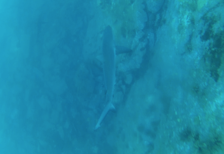 Screenshot 2018-04-10 22.32.20