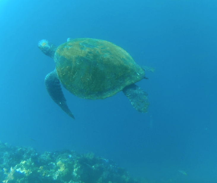 Screenshot 2018-04-10 22.33.20