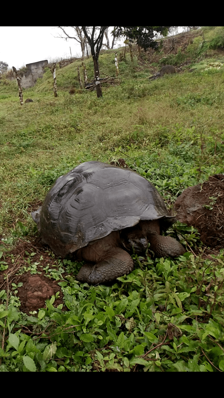 Screenshot_20180410-224318