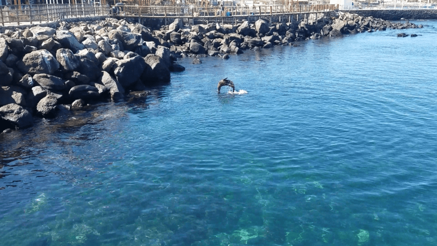 Screenshot_20180410-230009