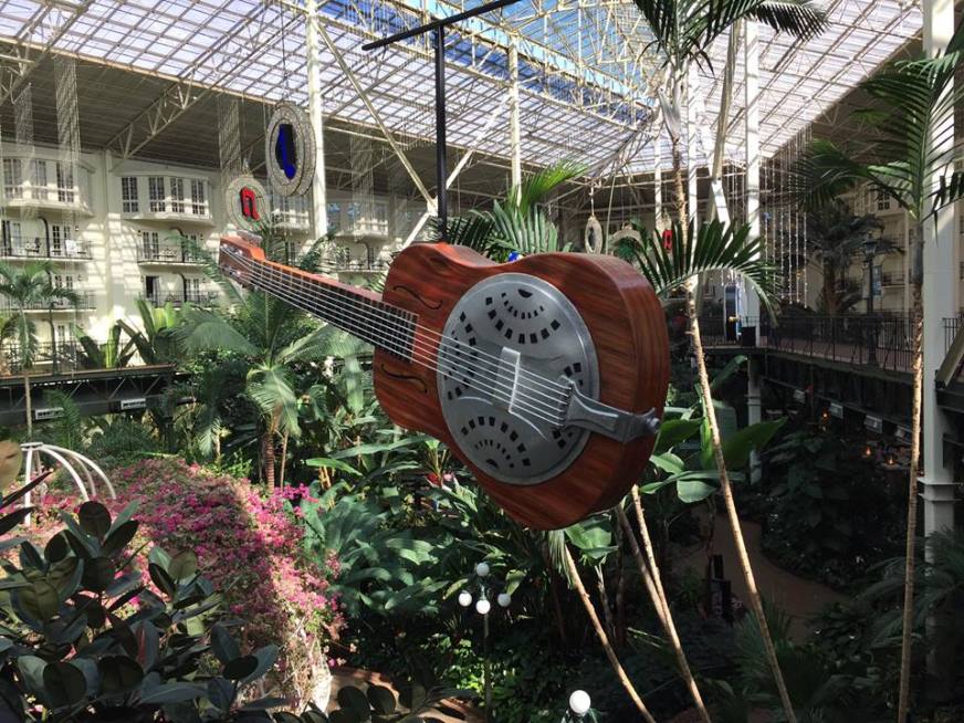 16806814_10101212857111661_7829551182619747859_n