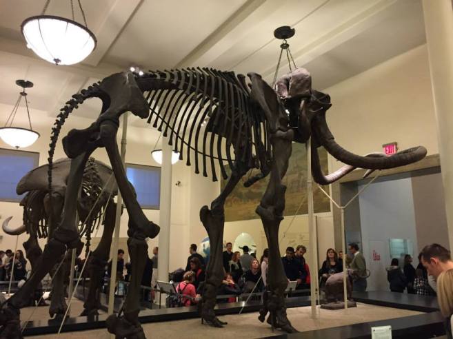 10915212_10205466886653720_701806122827681082_n