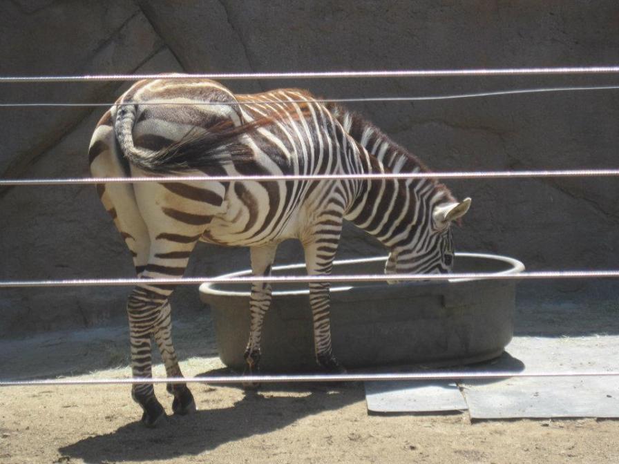 542485_845574245511_444049629_n