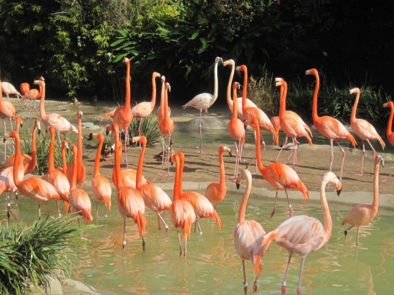 556013_845571770471_35269125_n