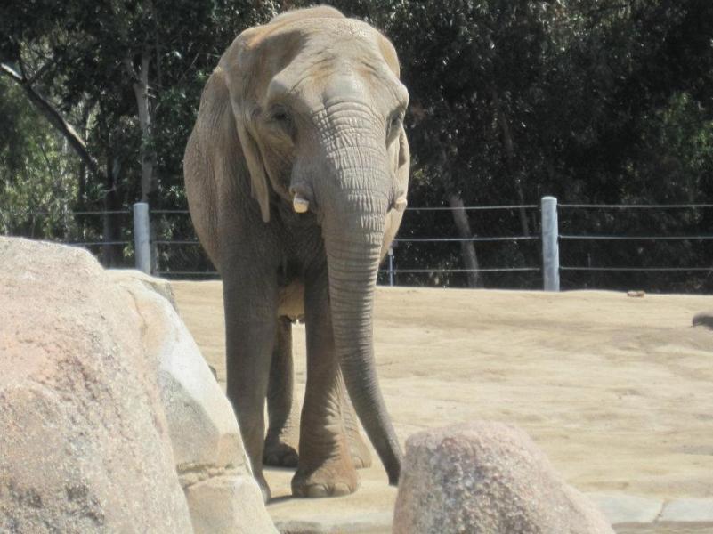 563851_845573731541_87494580_n