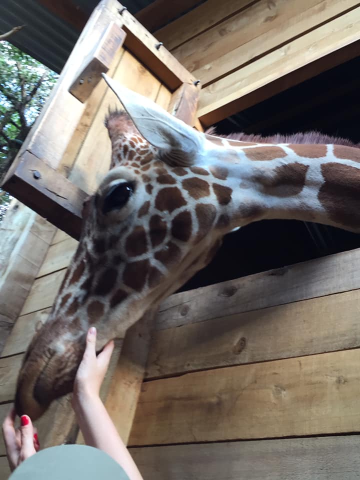 66487034_10101995603461701_4460690967053205504_n