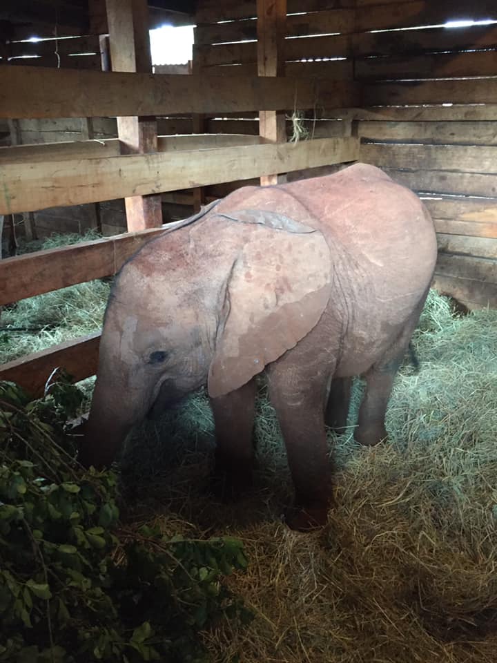 66497785_10101995604349921_7456323831586619392_n