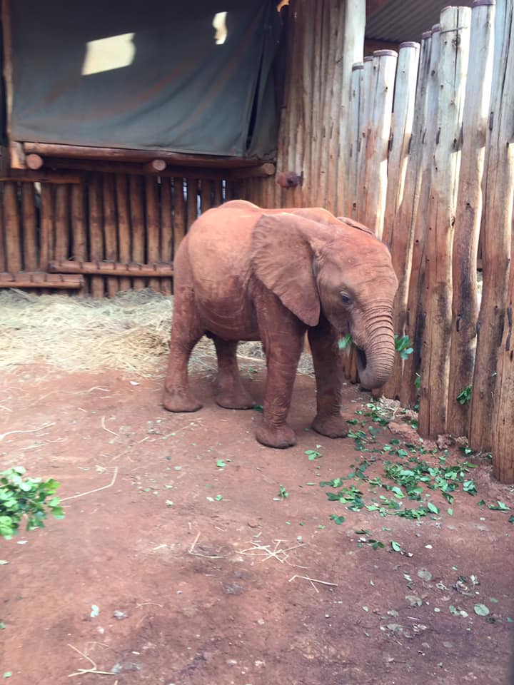 66502465_10101995603835951_5487409285778374656_n