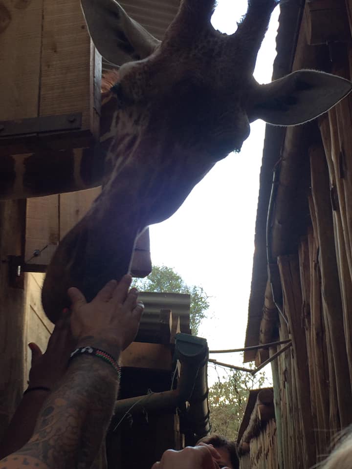 66643504_10101995604494631_5672873945078956032_n