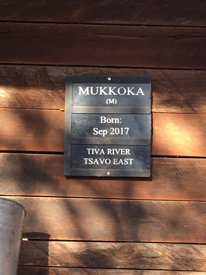 66751485_10101995603626371_4299527168288882688_n