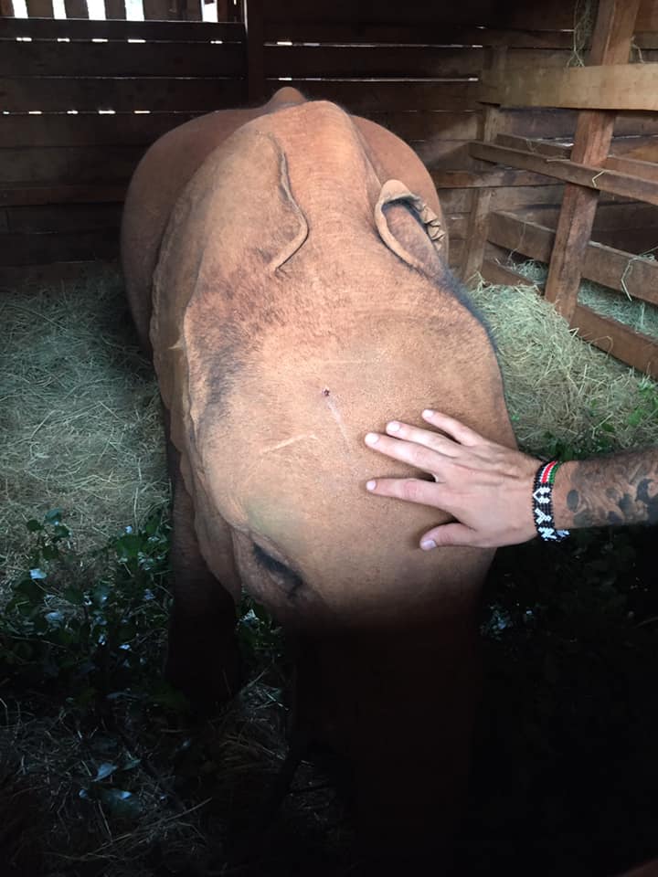 67129431_10101995604145331_2777854563514843136_n