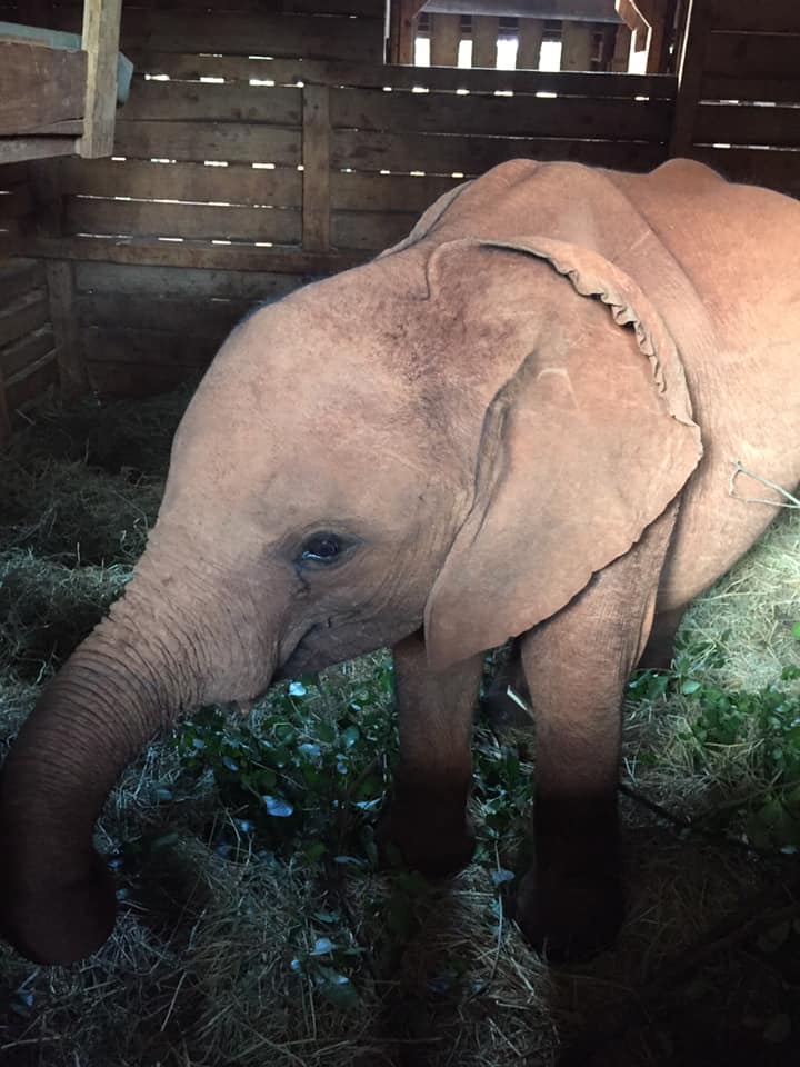 67296463_10101995604245131_3888966129158193152_n