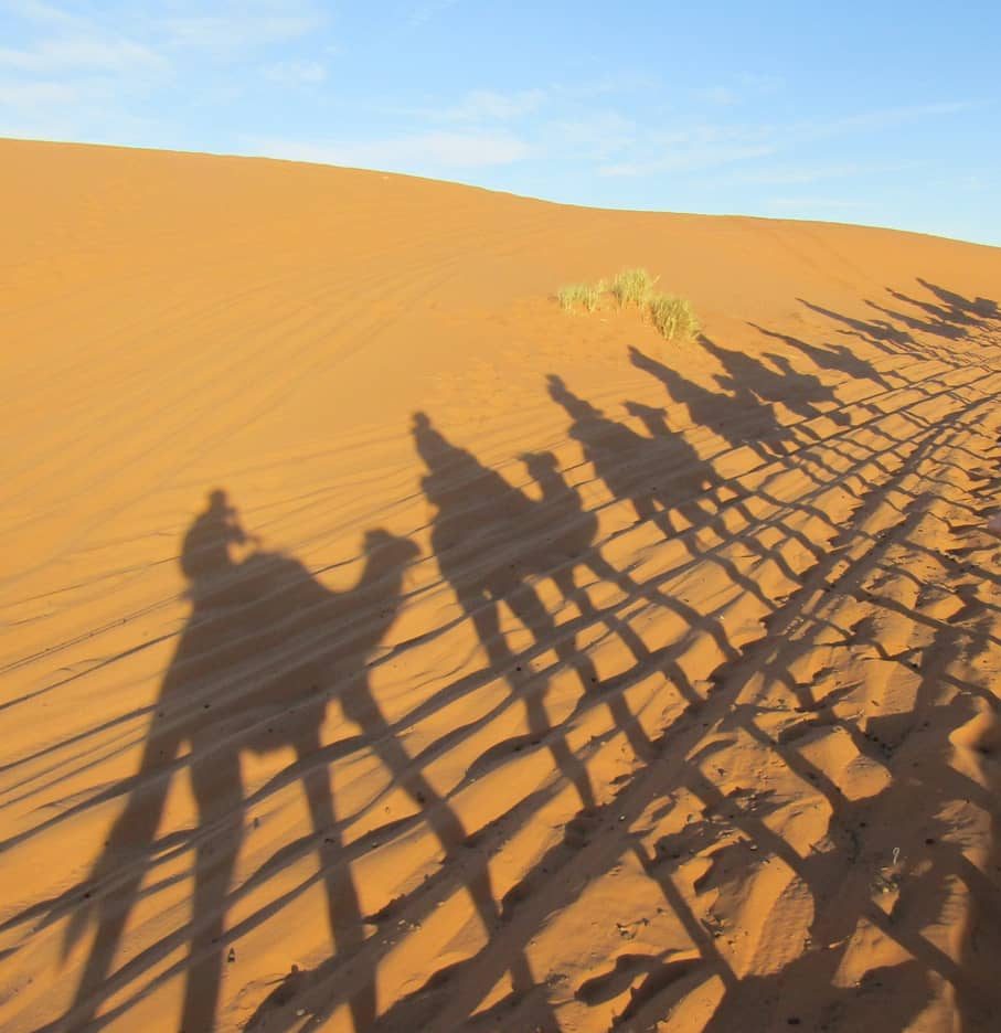 IMG_20191230_192427_459