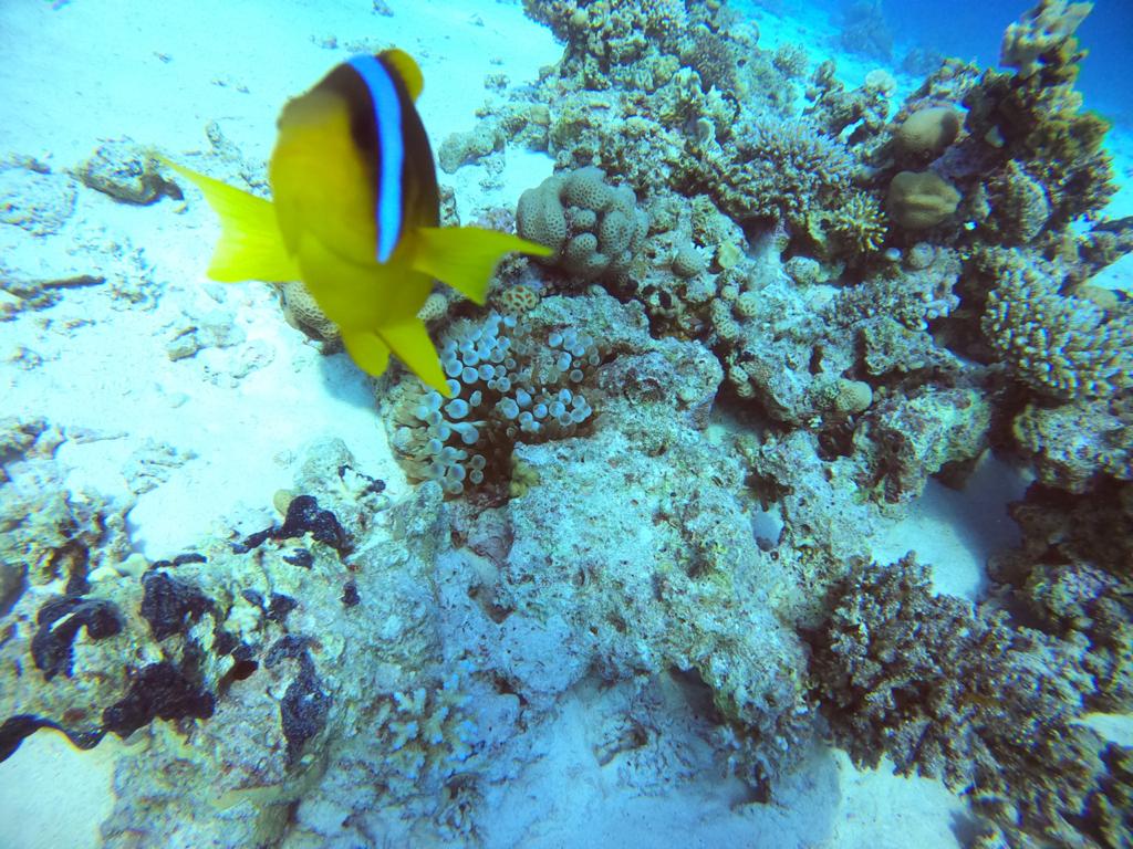 2DC1DAE4-5B01-46FC-AA7E-2E19CC546177