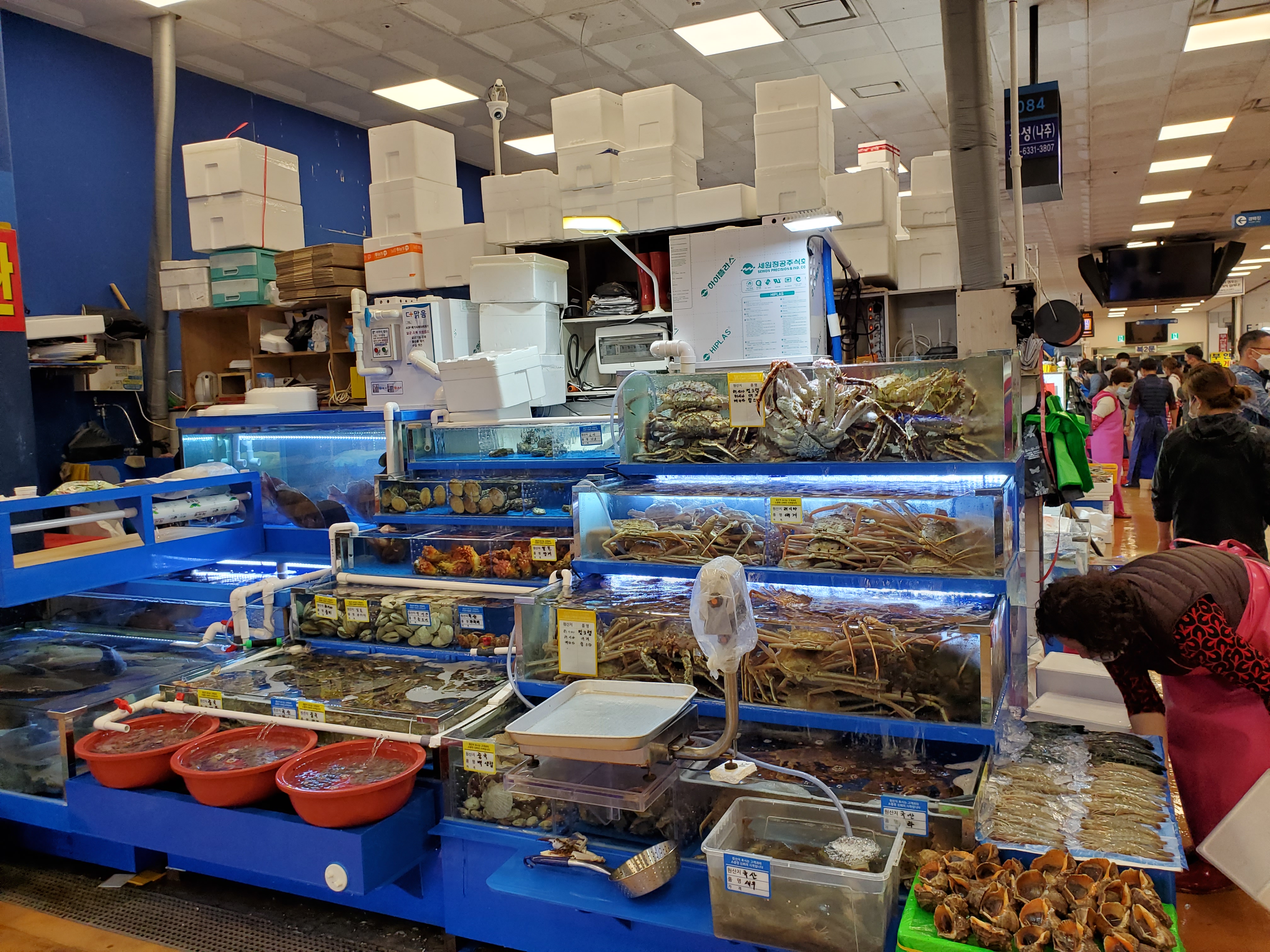 45AE7535-39B2-4A19-B861-996407BF8326