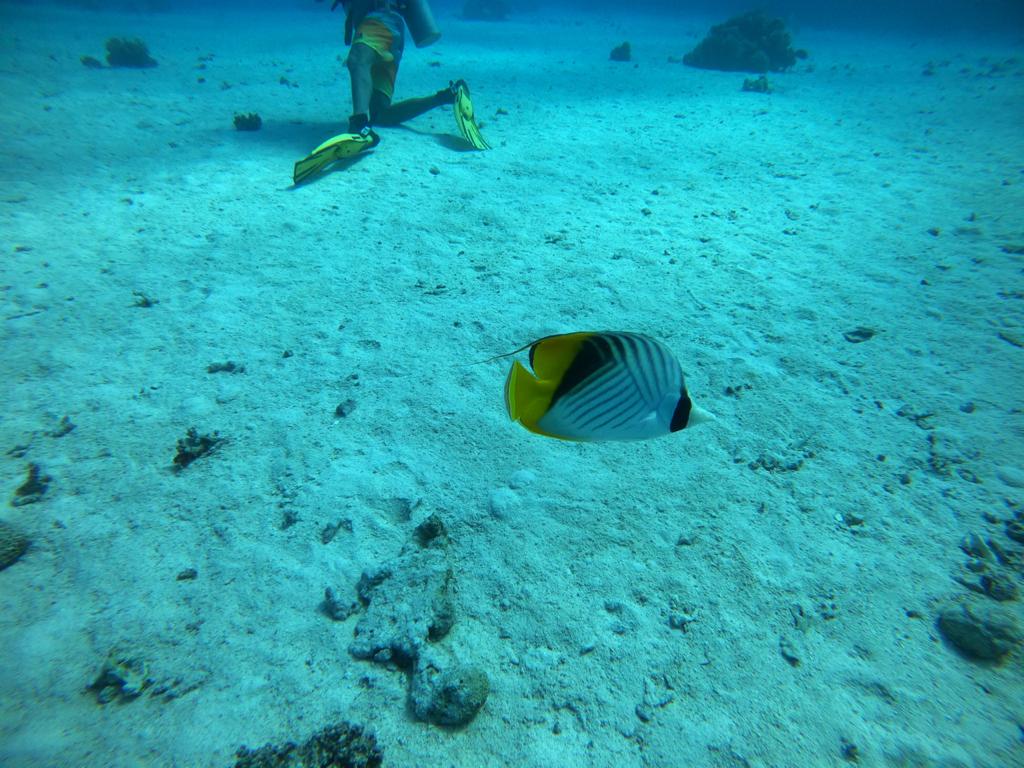 47F75D5B-61E2-4115-BDEC-342F4D4CFD00