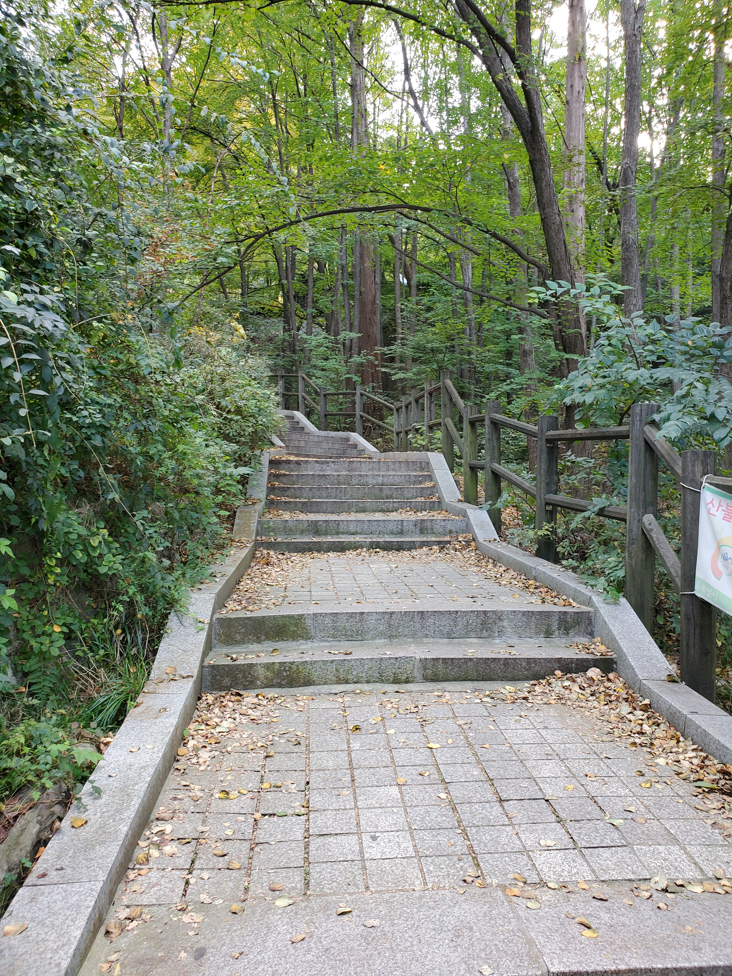 7337C155-3001-4A8A-BF74-C9E3533ED3B6