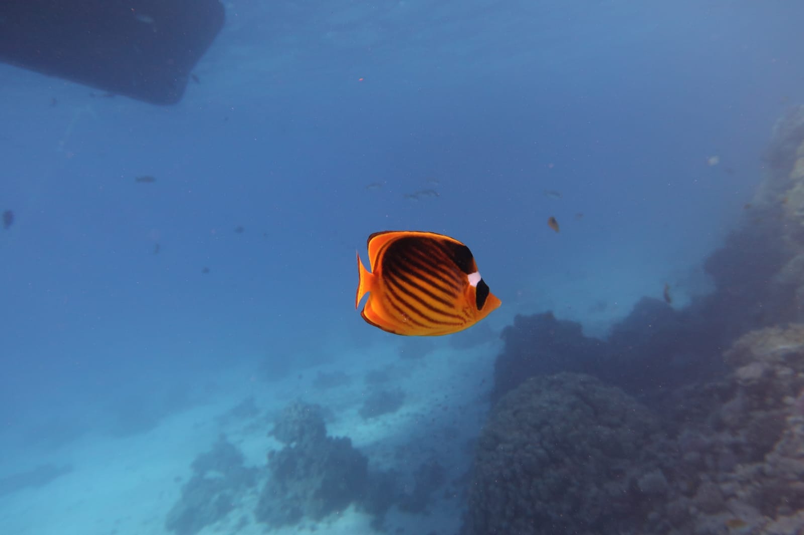 791CF130-F6FF-46C5-A6AC-6C3E7D5EDF36