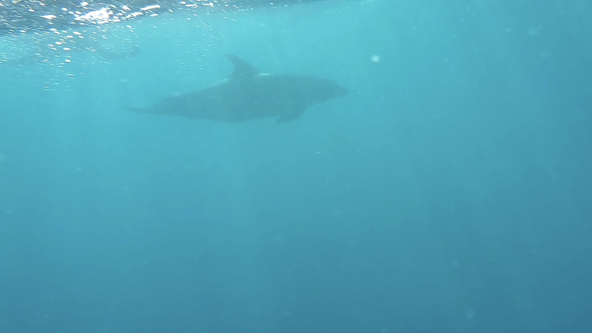 83AD30C8-A8EE-460C-924C-DF6C7F73DD88_1_201_a