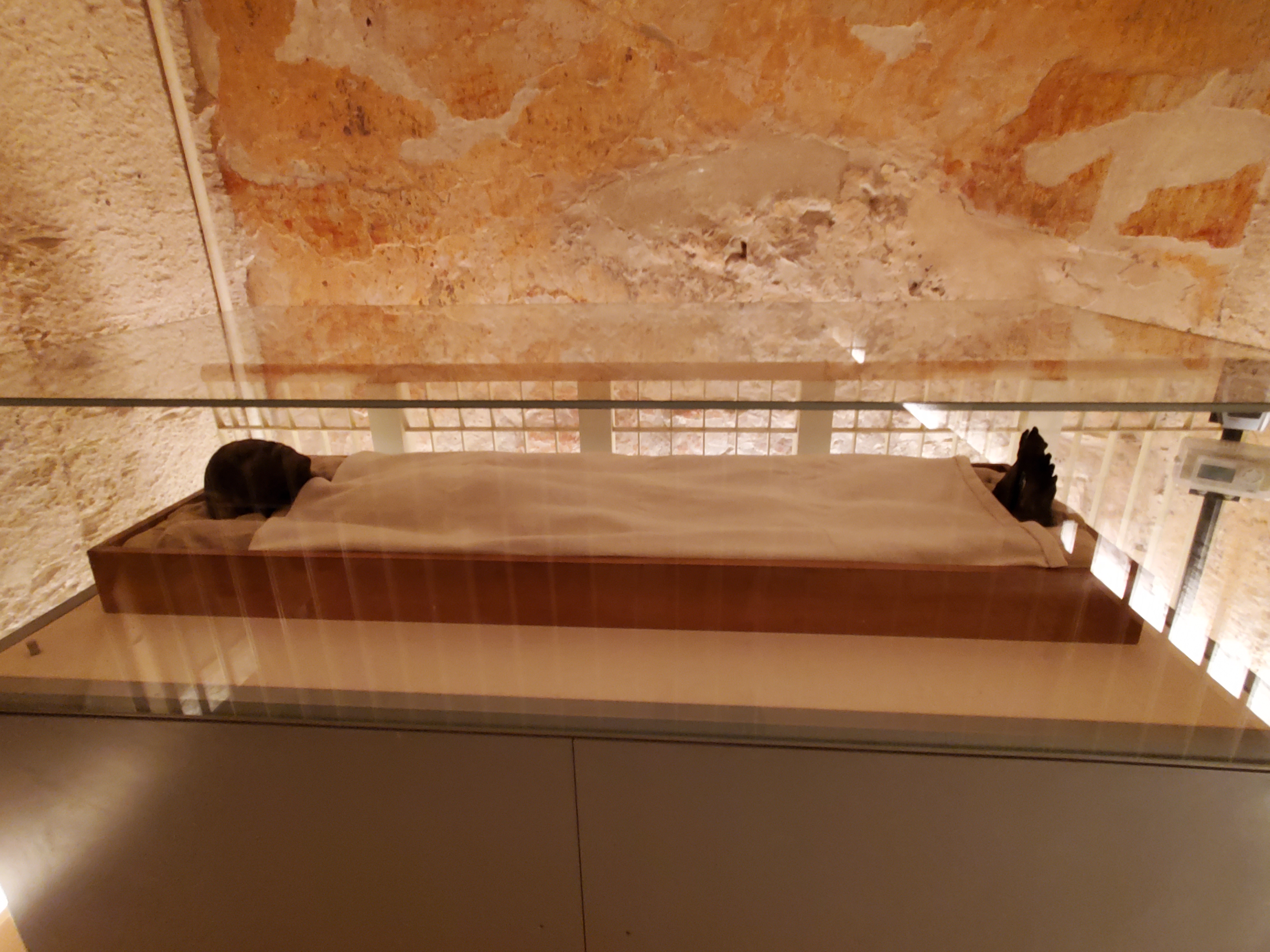 8E393BD5-FDD3-40A2-B024-AE579EC6F8B4