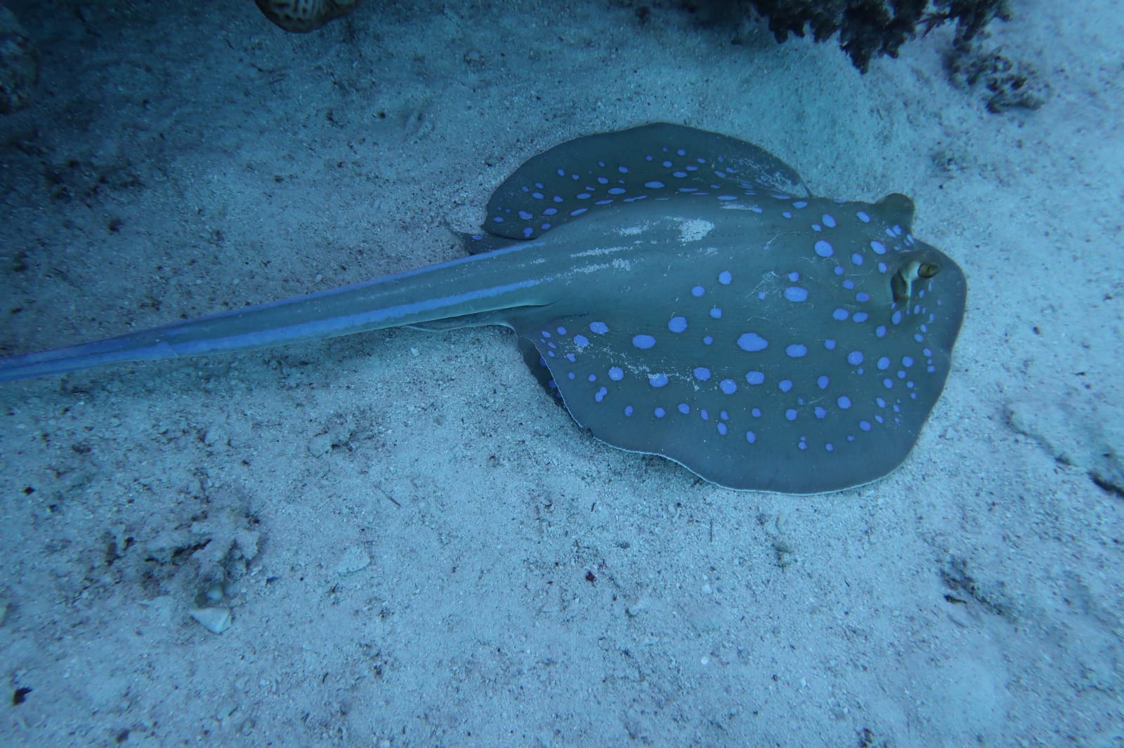 93B45DA0-EC2D-471A-9324-085FA4B6CDCC