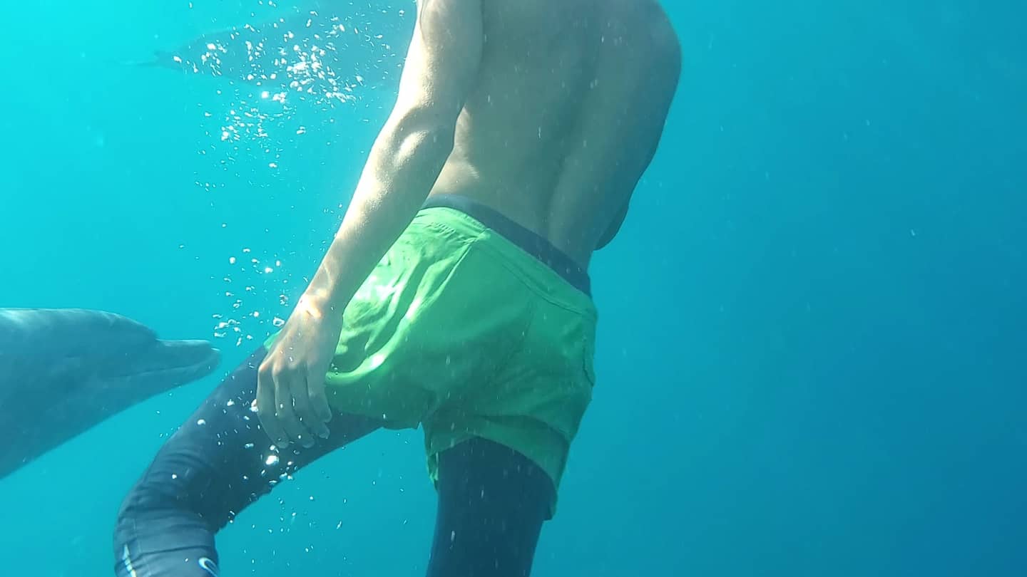 A0B2DC86-14E1-488E-BC2F-47A916ABF091