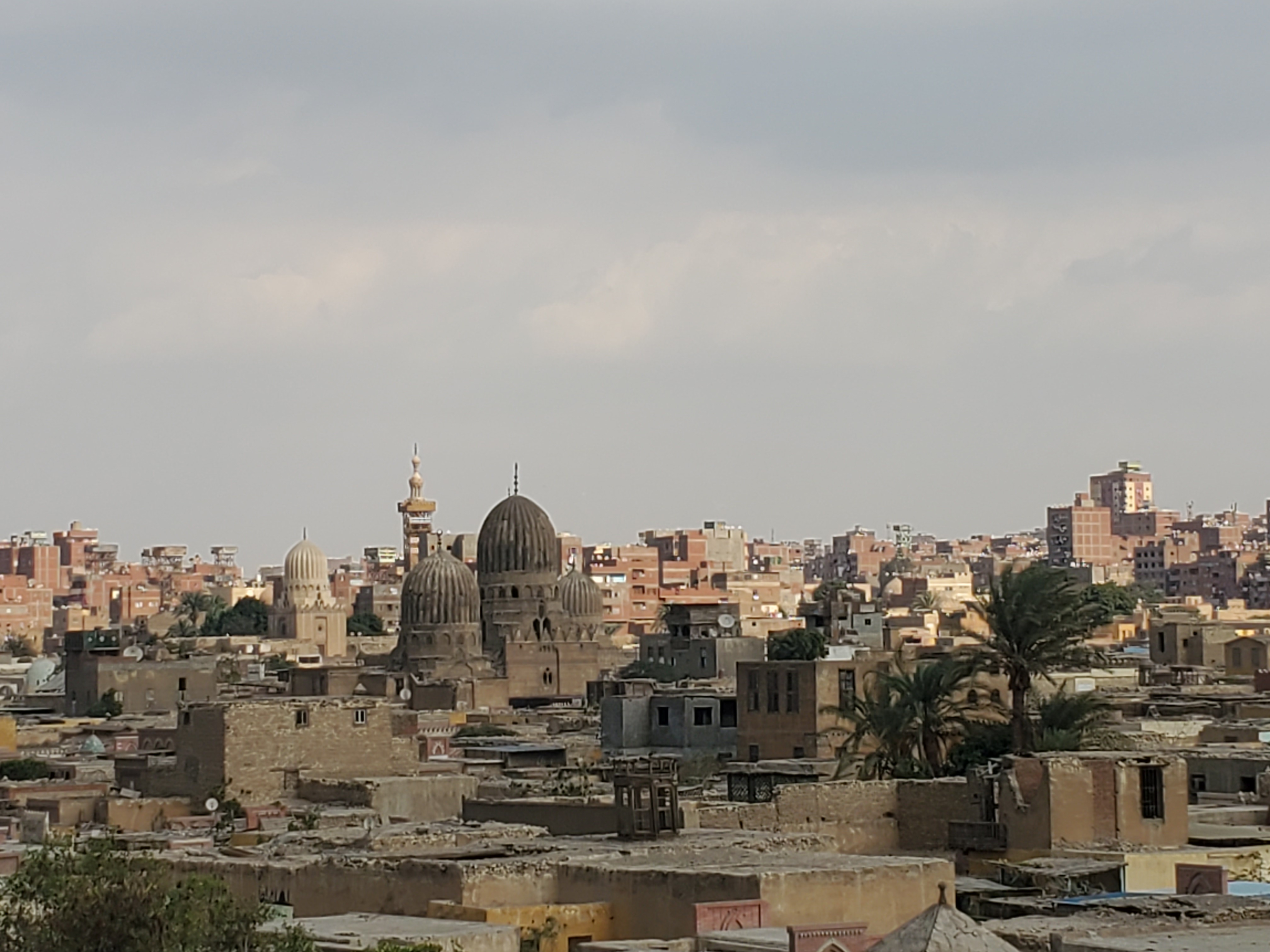 A5D4C500-9125-41EE-A5EC-CEFB9AA9D126