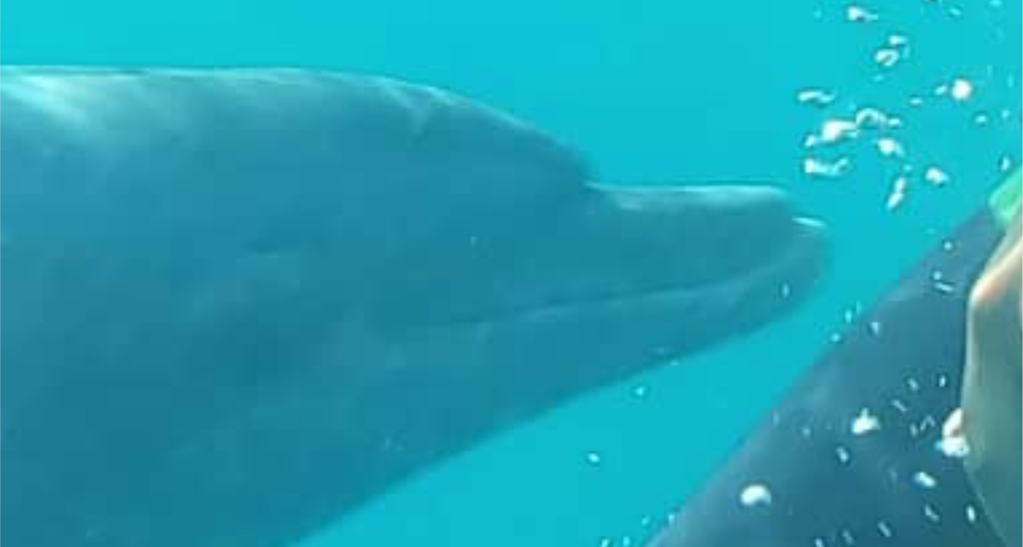 AE25A156-61B5-4F72-8246-DBD2A2A4AFDF