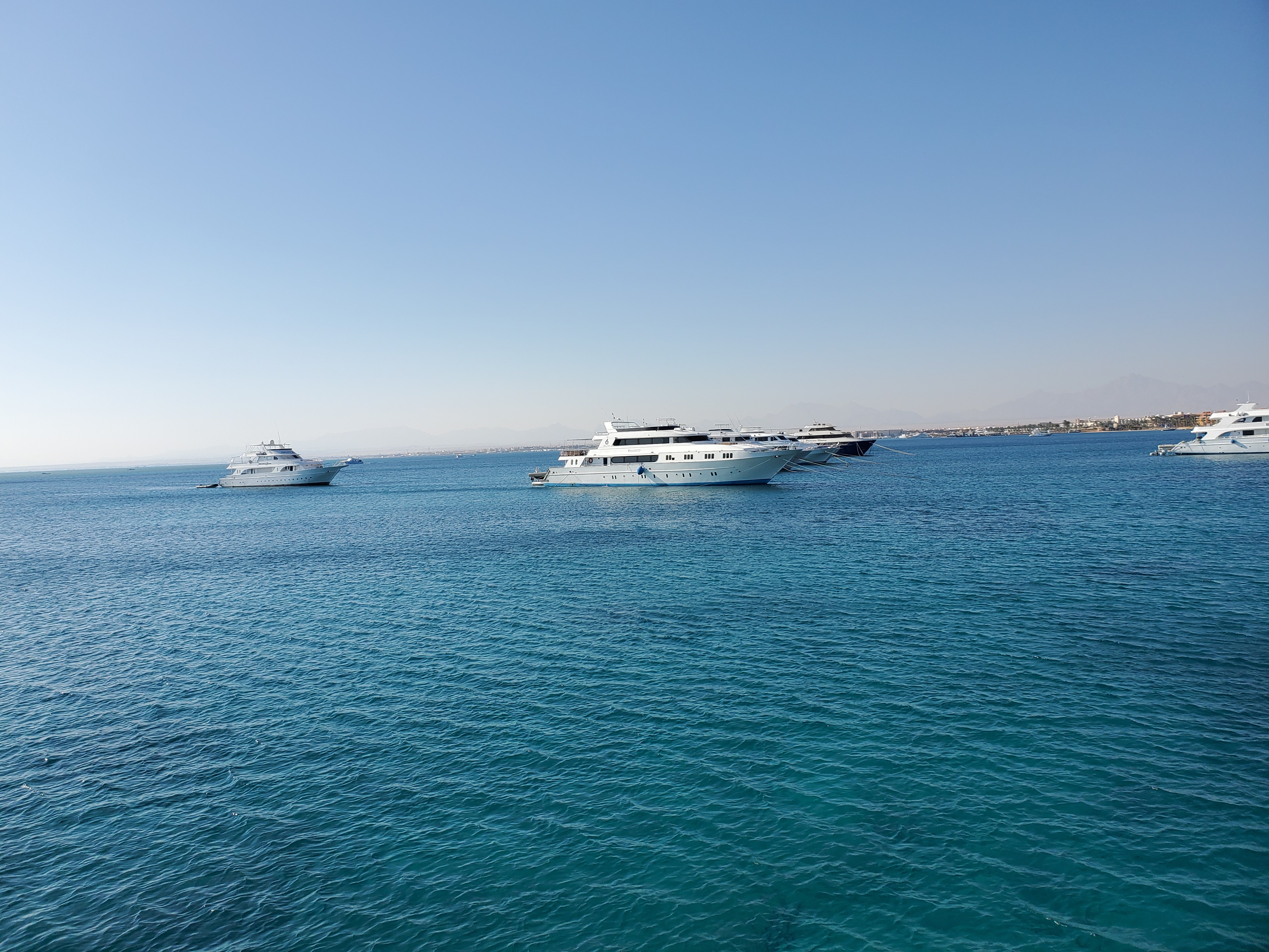 BA9C0A19-4B50-4844-848E-C6BC9AFA1609