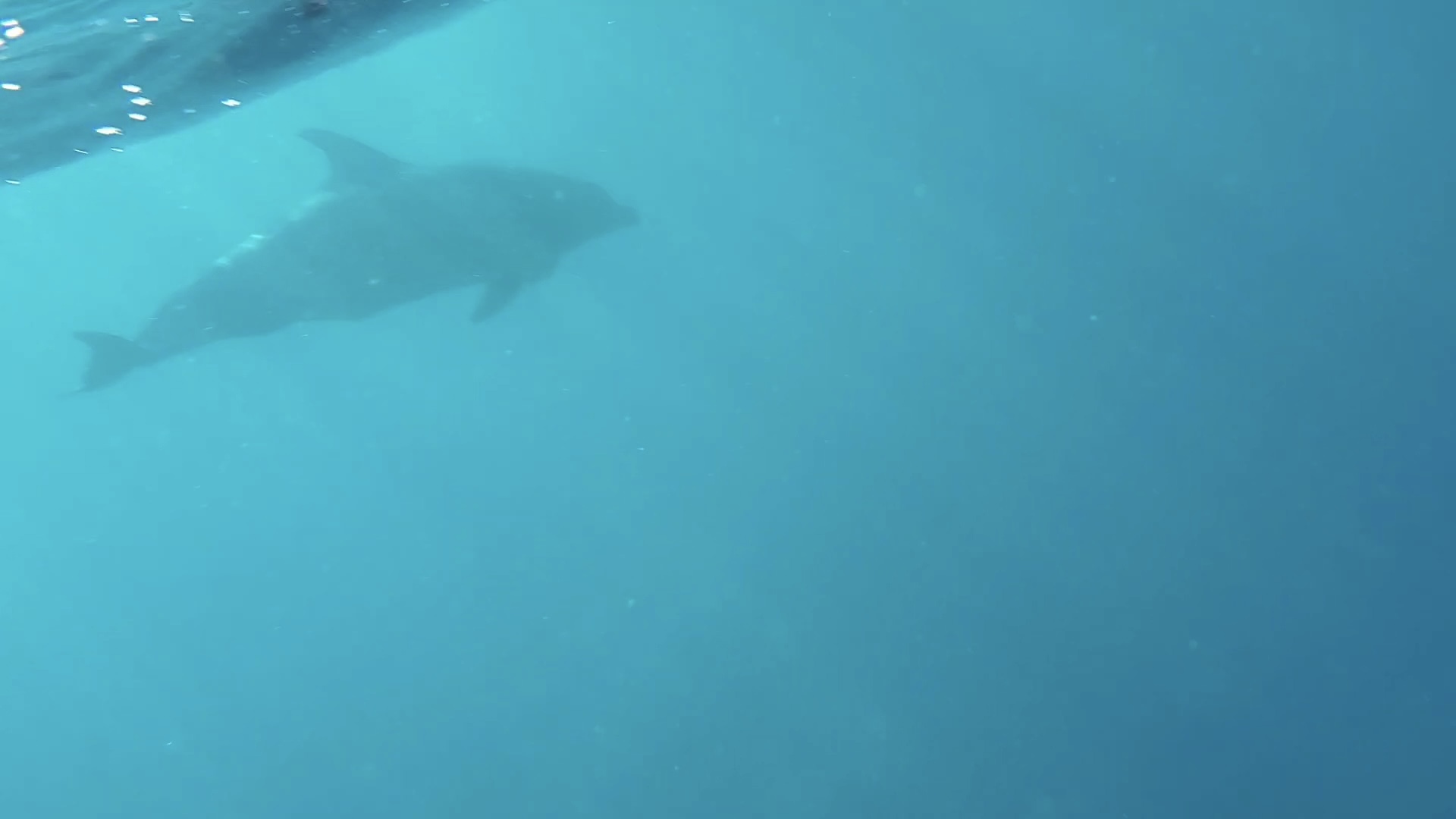 CAF2D14B-94B7-48F1-ACBC-B640B9B57D3D_1_201_a