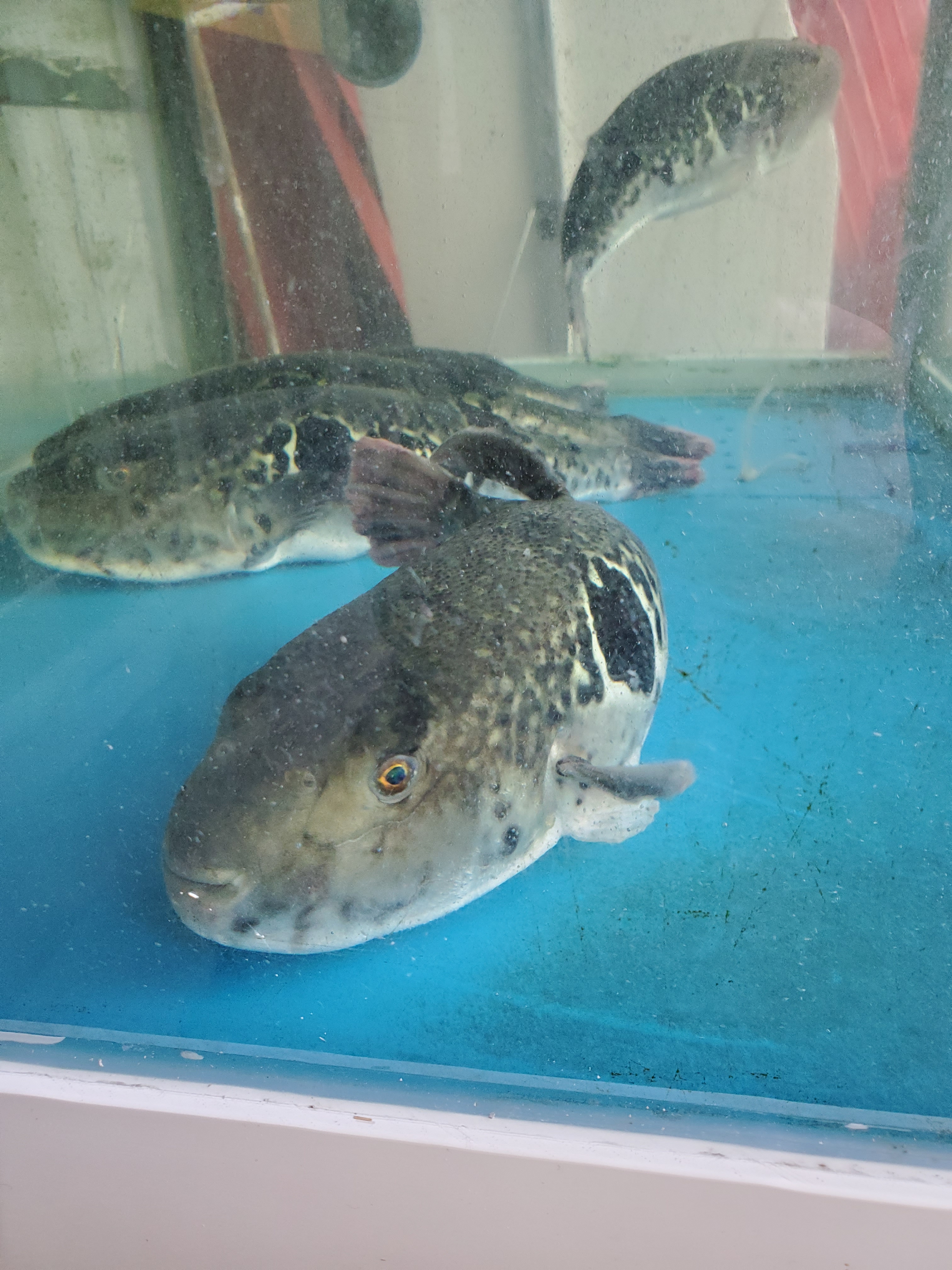 F019C719-A9F7-45BD-9470-C70067EC28FF