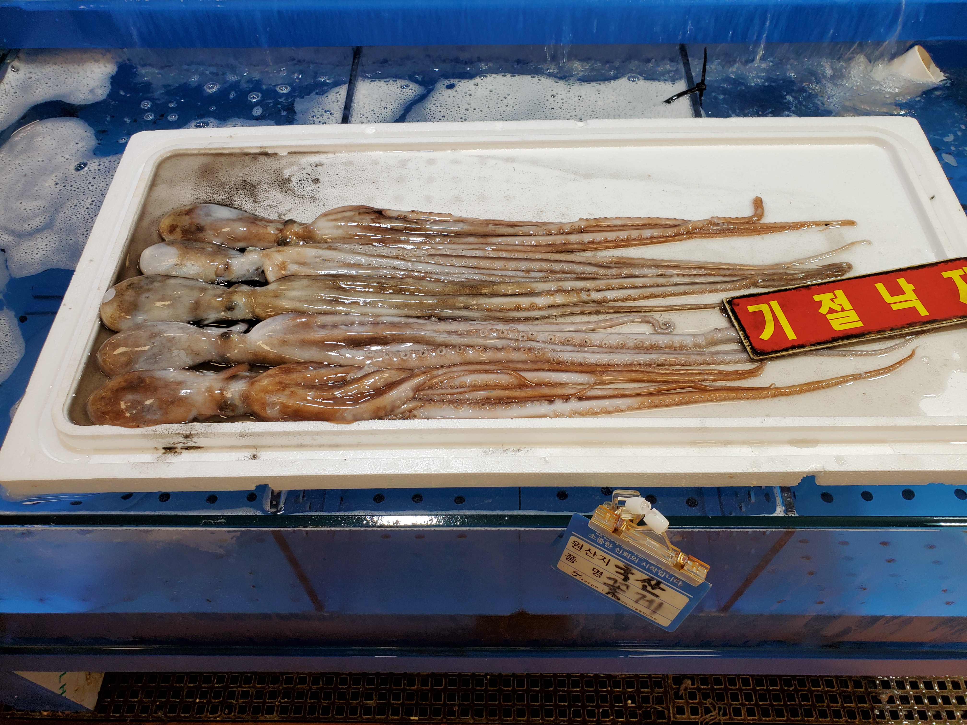 F7C0F931-38FE-4309-89DD-F5AADE155B85