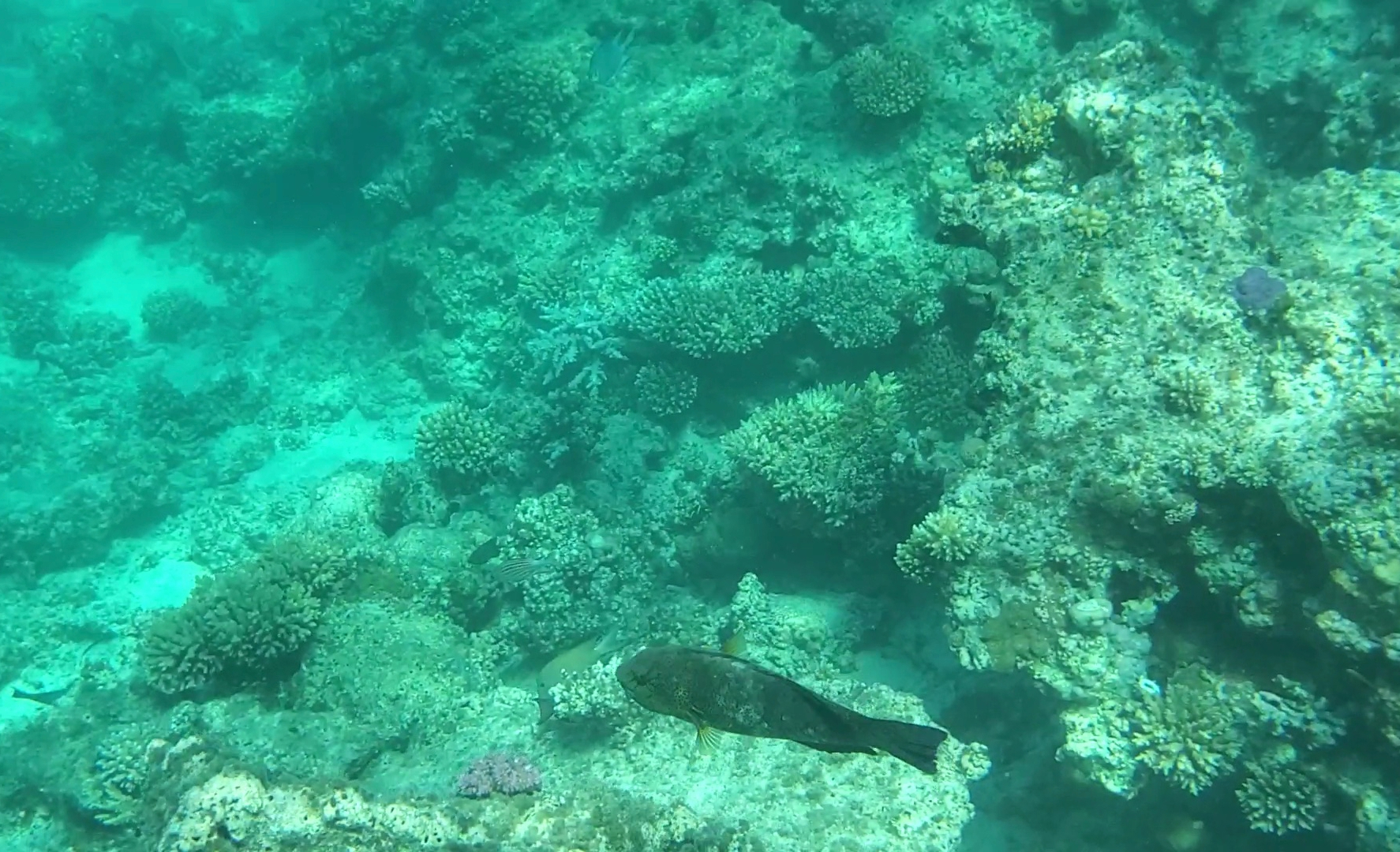 Screenshot_20201218-152836_Gallery