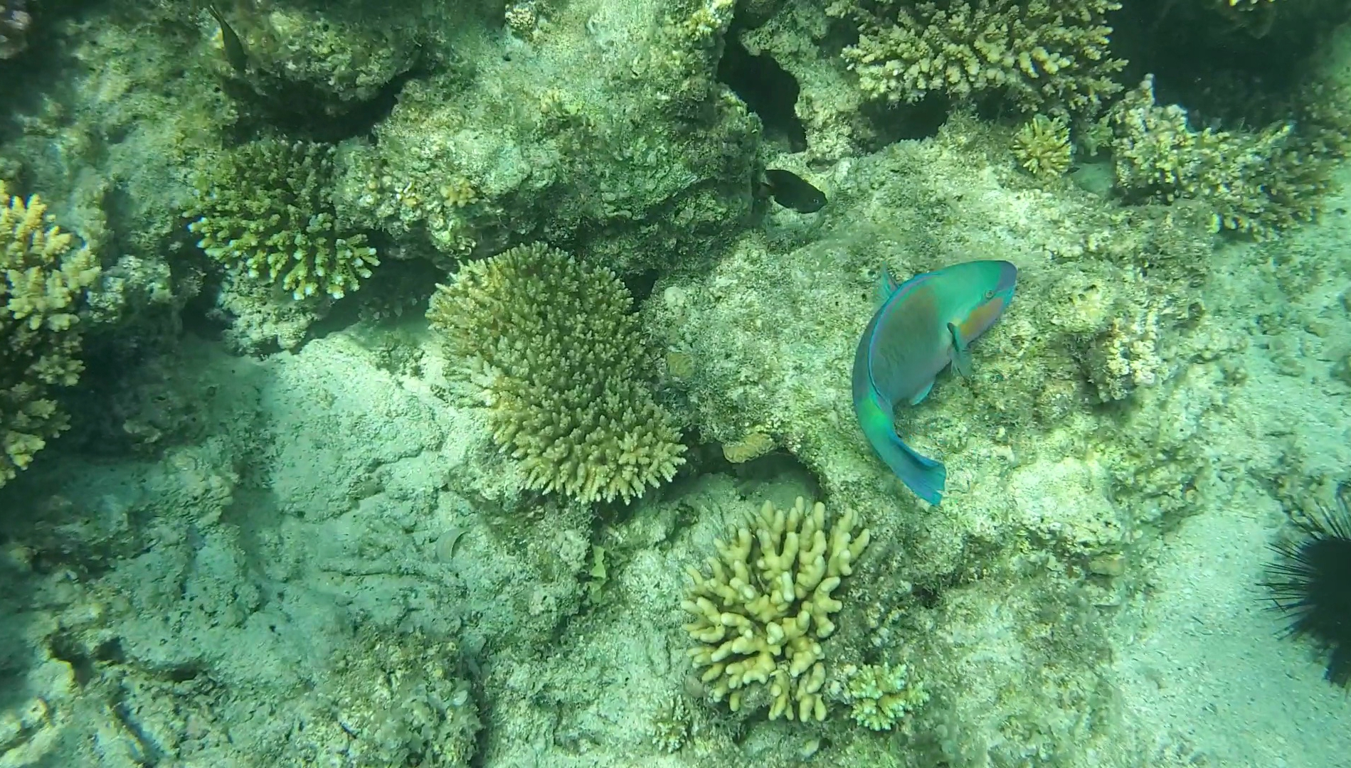 Screenshot_20201218-152930_Gallery