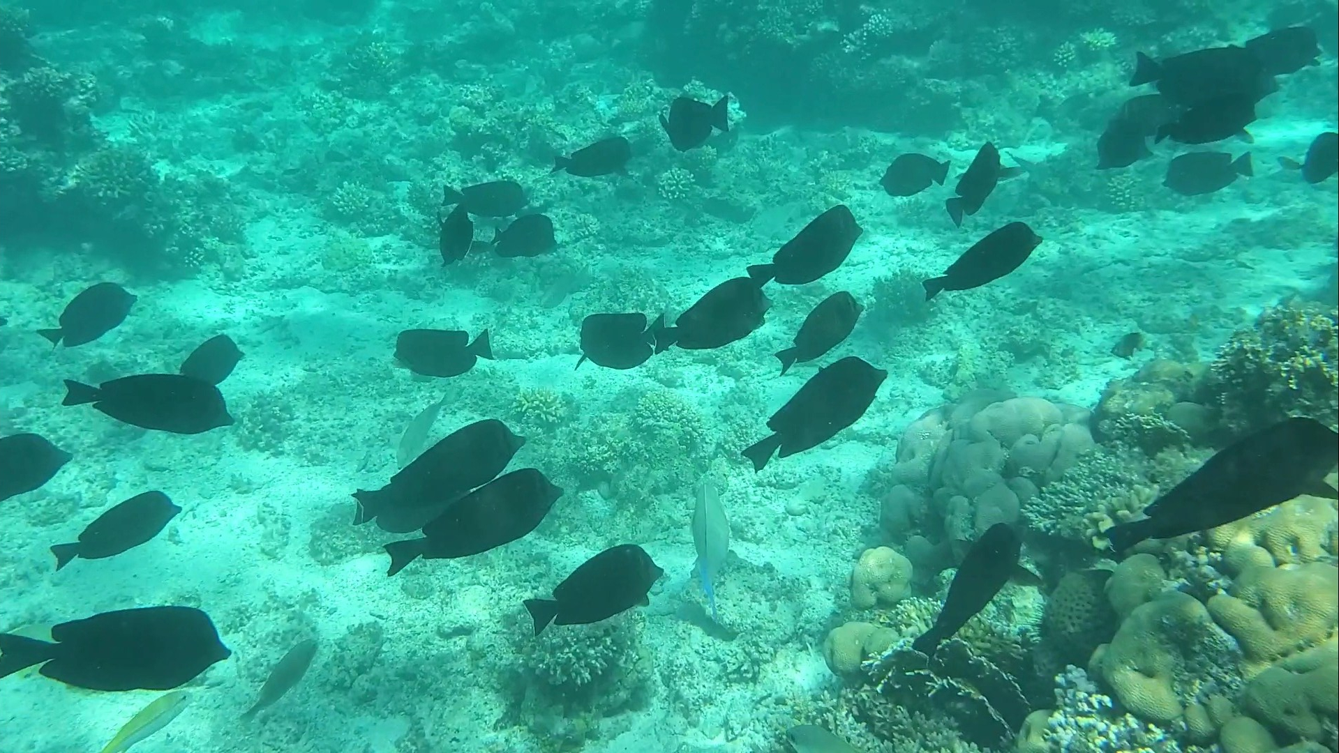 Screenshot_20201218-152939_Gallery