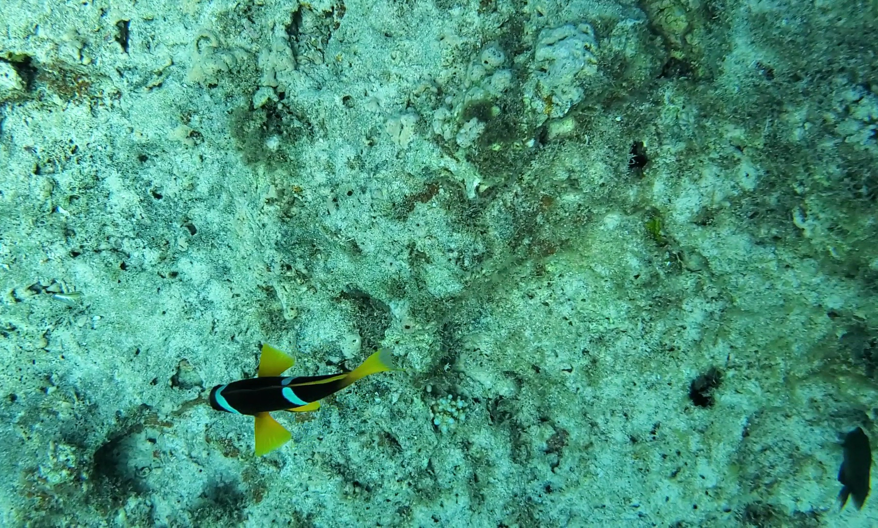 Screenshot_20201218-152956_Gallery