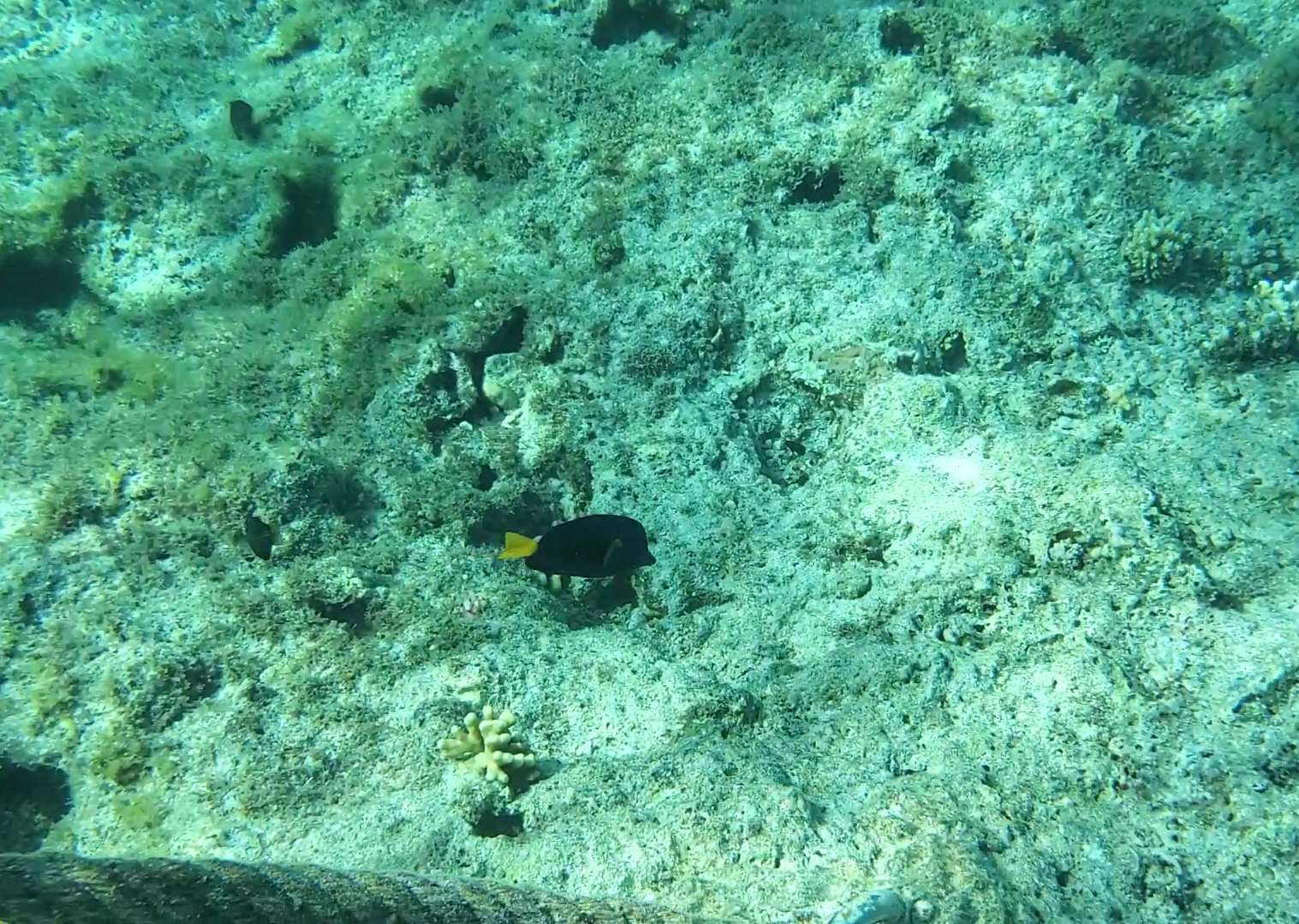 Screenshot_20201218-153014_Gallery