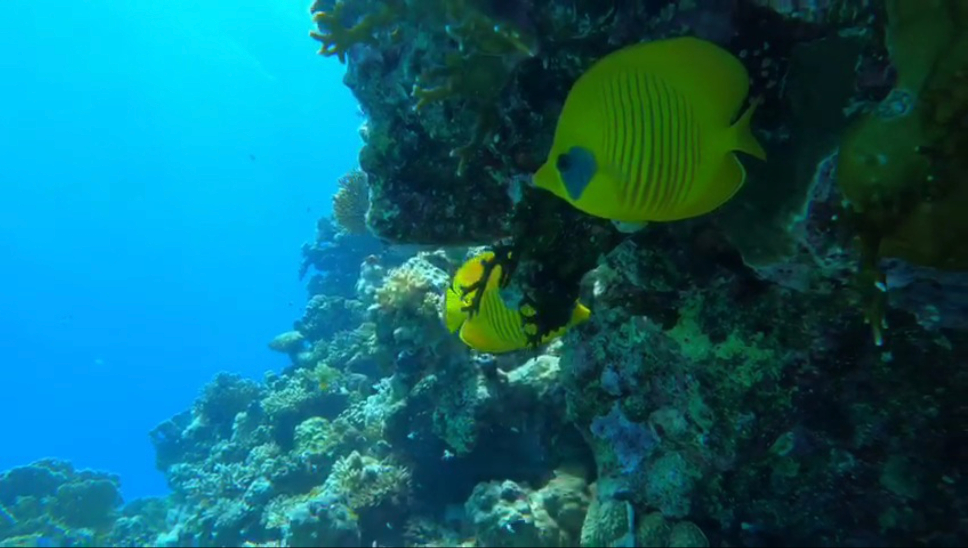 Screenshot_20201218-153201_Gallery